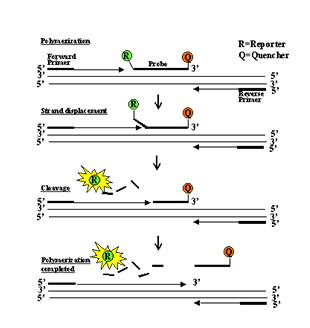 BG大游·(集团)视讯官方网站
