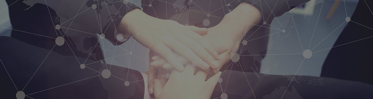 BG大游·(集团)视讯官方网站