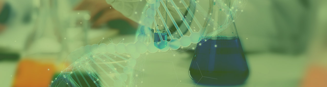 BG大游·(集团)视讯官方网站